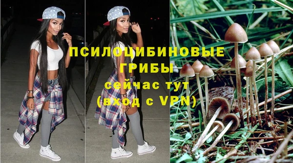 jwh Беломорск