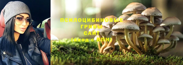 jwh Беломорск